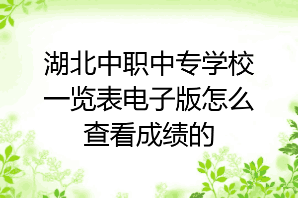 湖北中职中专学校一览表电子版怎么查看成绩的