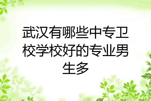 武汉有哪些中专卫校学校好的专业男生多