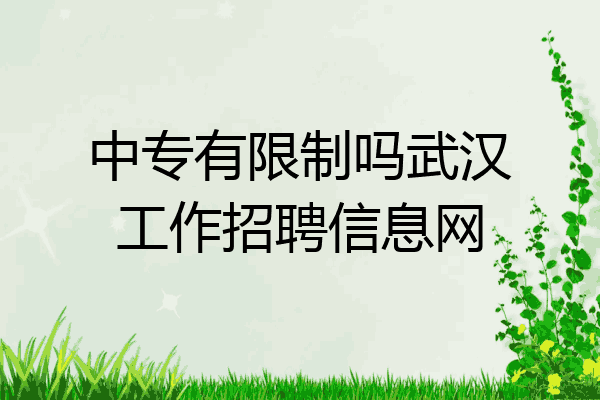 中专有限制吗武汉工作招聘信息网