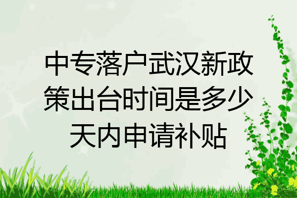 中专落户武汉新政策出台时间是多少天内申请补贴