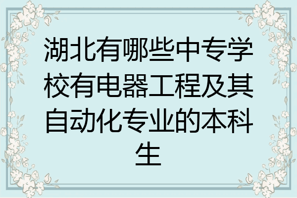 湖北有哪些中专学校有电器工程及其自动化专业的本科生