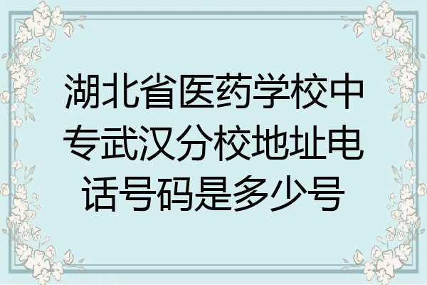 湖北省医药学校中专武汉分校地址电话号码是多少号