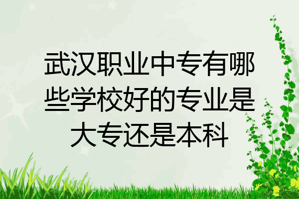 武汉职业中专有哪些学校好的专业是大专还是本科