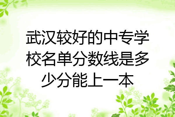 武汉较好的中专学校名单分数线是多少分能上一本