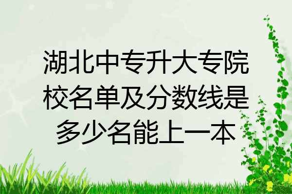 湖北中专升大专院校名单及分数线是多少名能上一本