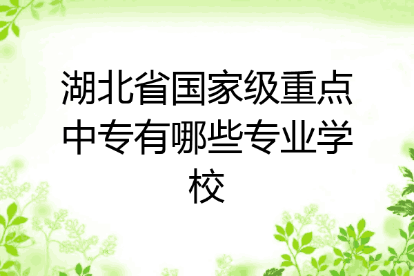 湖北省国家级重点中专有哪些专业学校