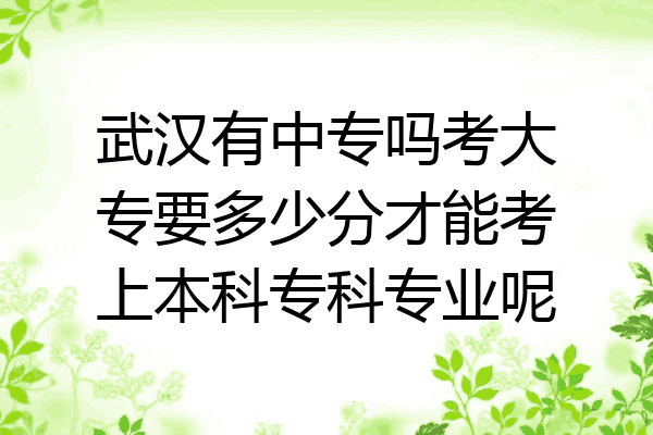 武汉有中专吗考大专要多少分才能考上本科专科专业呢