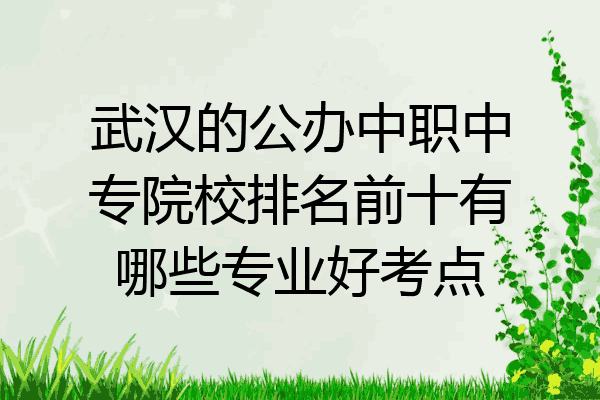 武汉的公办中职中专院校排名前十有哪些专业好考点