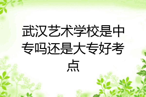 武汉艺术学校是中专吗还是大专好考点