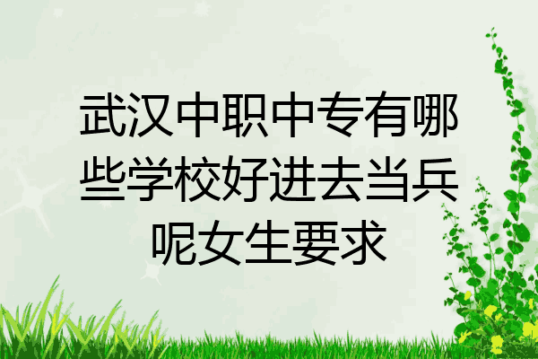 武汉中职中专有哪些学校好进去当兵呢女生要求