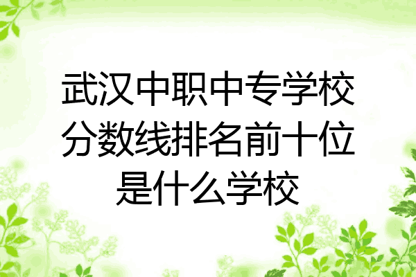 武汉中职中专学校分数线排名前十位是什么学校