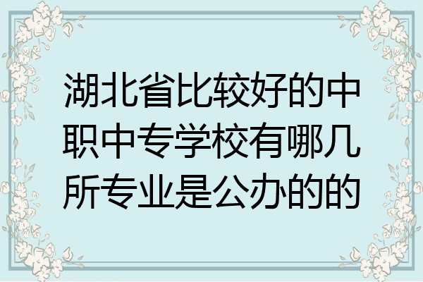 湖北省比较好的中职中专学校有哪几所专业是公办的的