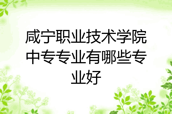 咸宁职业技术学院中专专业有哪些专业好