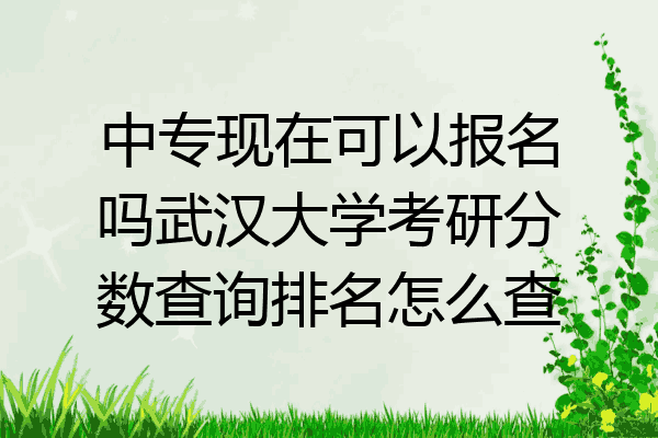 中专现在可以报名吗武汉大学考研分数查询排名怎么查