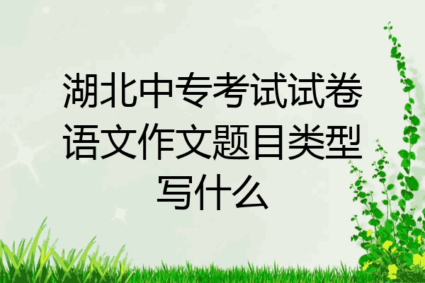 湖北中专考试试卷语文作文题目类型写什么