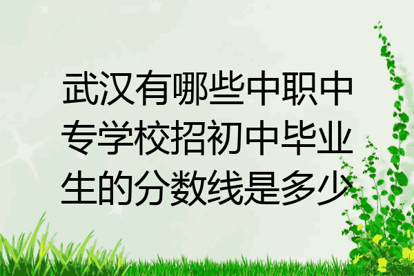 武汉有哪些中职中专学校招初中毕业生的分数线是多少