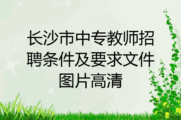 长沙市中专教师招聘条件及要求文件图片高清