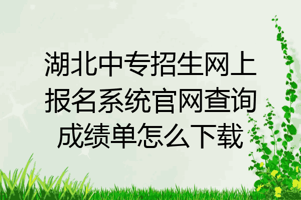 湖北中专招生网上报名系统官网查询成绩单怎么下载