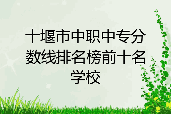 十堰市中职中专分数线排名榜前十名学校