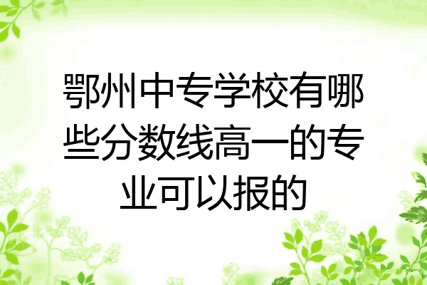 鄂州中专学校有哪些分数线高一的专业可以报的