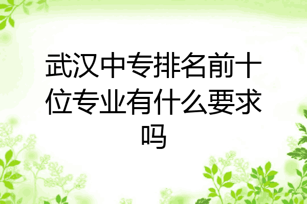 武汉中专排名前十位专业有什么要求吗