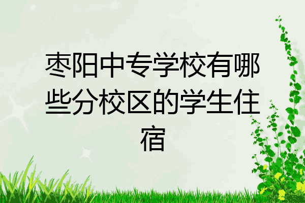 枣阳中专学校有哪些分校区的学生住宿