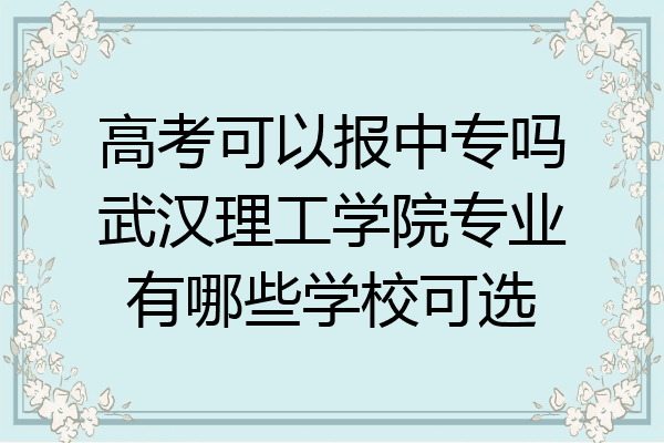 高考可以报中专吗武汉理工学院专业有哪些学校可选