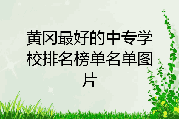黄冈最好的中专学校排名榜单名单图片