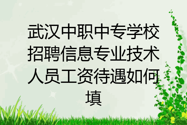 武汉中职中专学校招聘信息专业技术人员工资待遇如何填