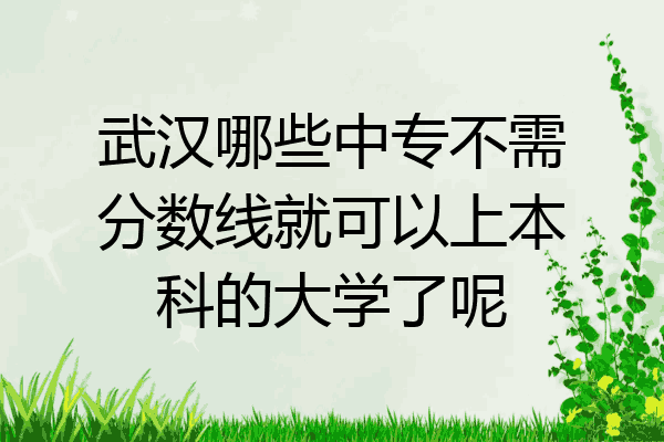 武汉哪些中专不需分数线就可以上本科的大学了呢