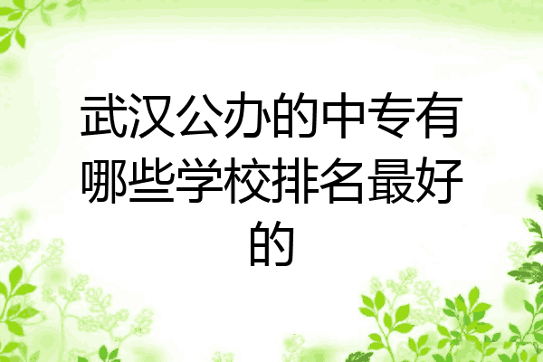 武汉公办的中专有哪些学校排名最好的