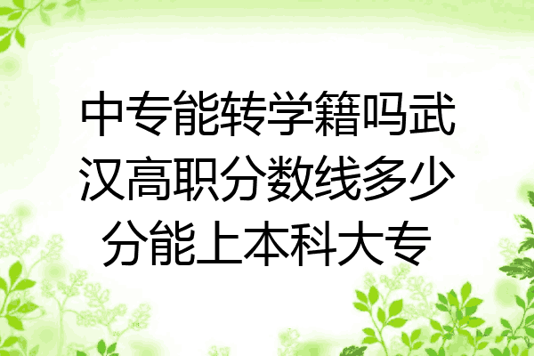 中专能转学籍吗武汉高职分数线多少分能上本科大专