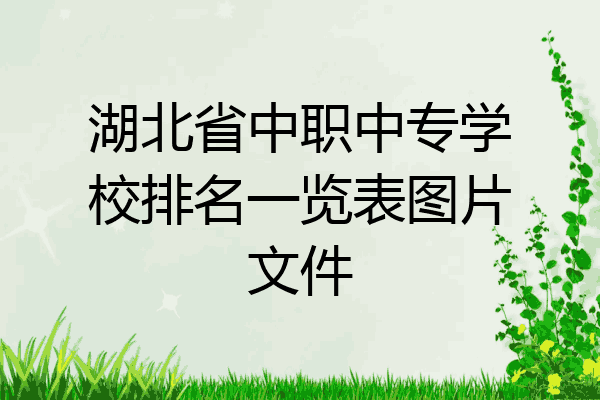 湖北省中职中专学校排名一览表图片文件