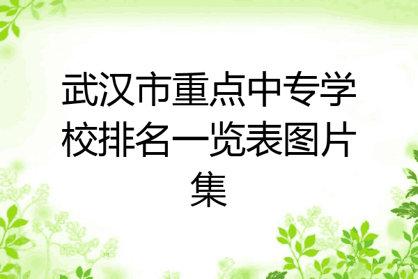武汉市重点中专学校排名一览表图片集