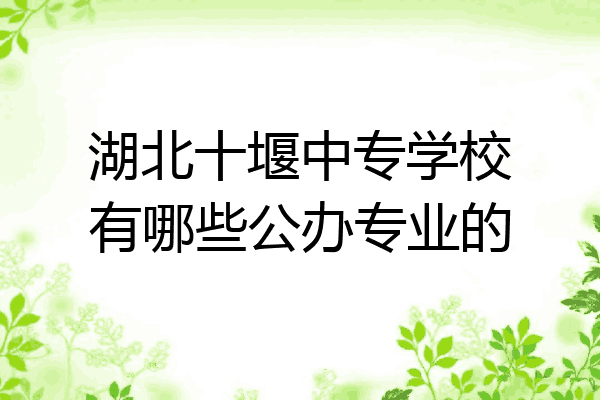 湖北十堰中专学校有哪些公办专业的