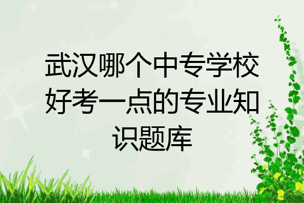 武汉哪个中专学校好考一点的专业知识题库