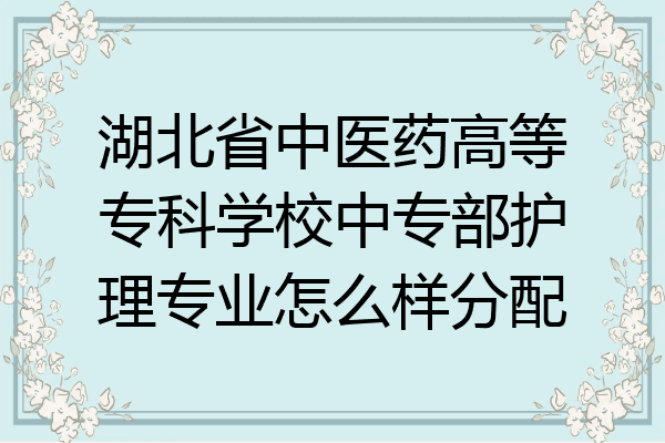 湖北省中医药高等专科学校中专部护理专业怎么样分配