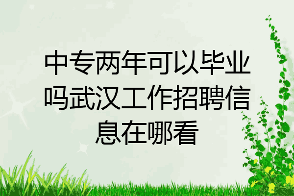 中专两年可以毕业吗武汉工作招聘信息在哪看