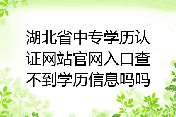 湖北省中专学历认证网站官网入口查不到学历信息吗吗