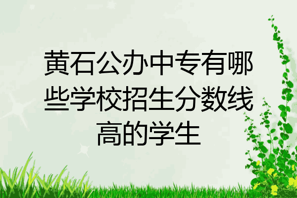 黄石公办中专有哪些学校招生分数线高的学生