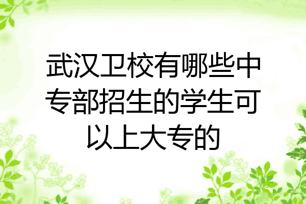 武汉卫校有哪些中专部招生的学生可以上大专的