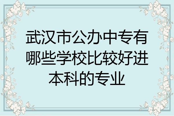 武汉市公办中专有哪些学校比较好进本科的专业