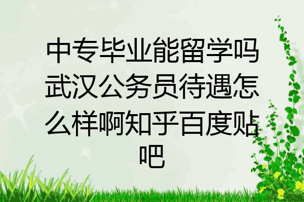 中专毕业能留学吗武汉公务员待遇怎么样啊知乎百度贴吧