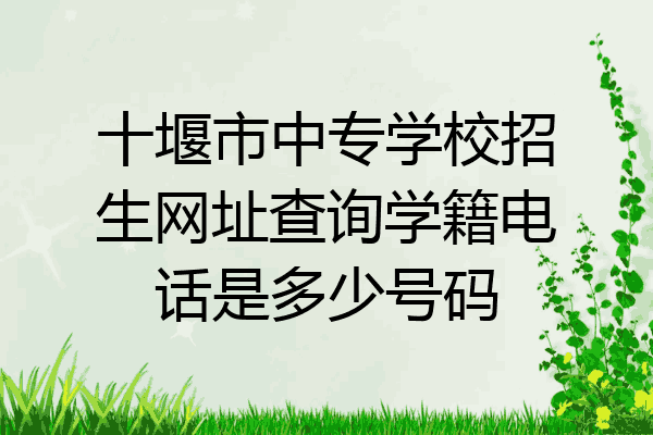 十堰市中专学校招生网址查询学籍电话是多少号码