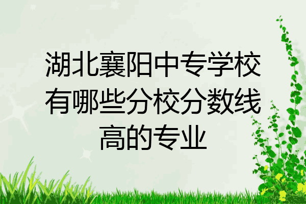 湖北襄阳中专学校有哪些分校分数线高的专业