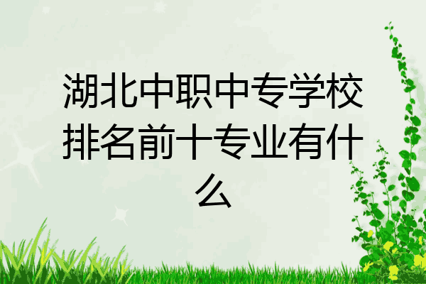 湖北中职中专学校排名前十专业有什么