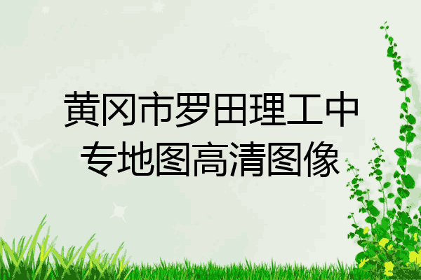 黄冈市罗田理工中专地图高清图像