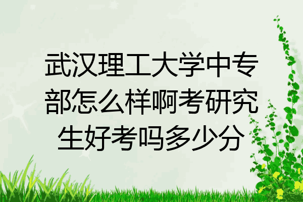 武汉理工大学中专部怎么样啊考研究生好考吗多少分