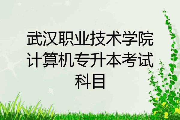 武汉职业技术学院计算机专升本考试科目
