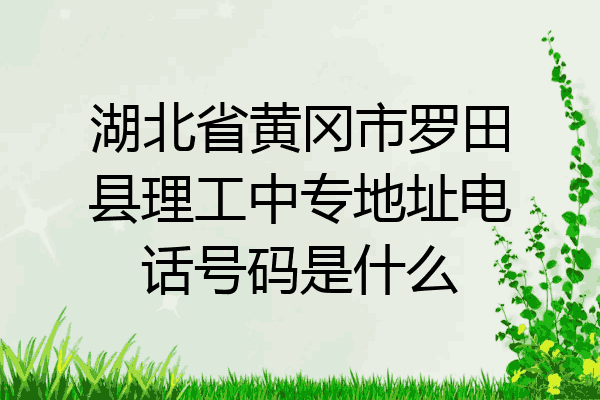 湖北省黄冈市罗田县理工中专地址电话号码是什么